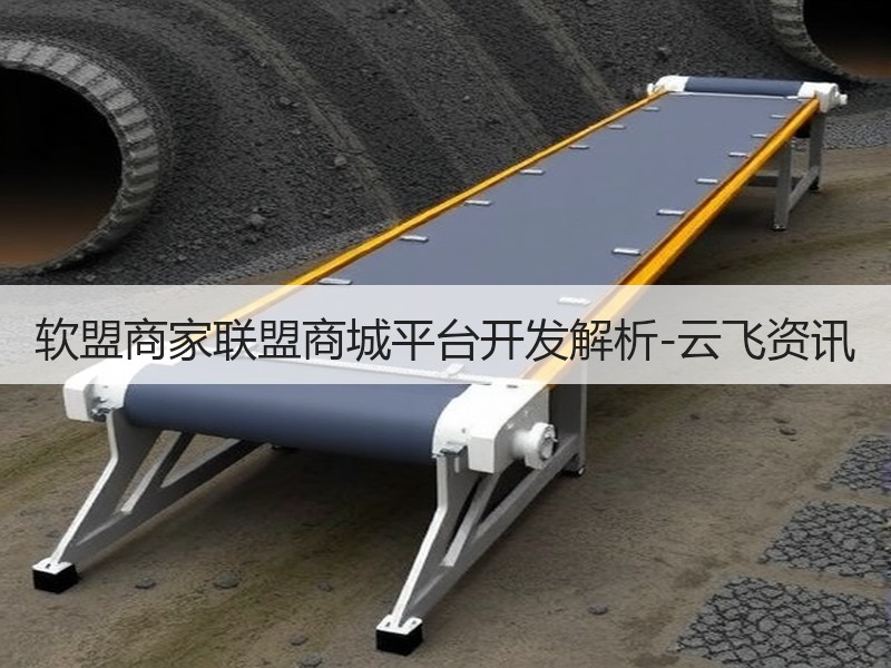 软盟商家联盟商城平台开发解析-云飞资讯