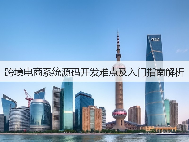 跨境电商系统源码开发难点及入门指南解析