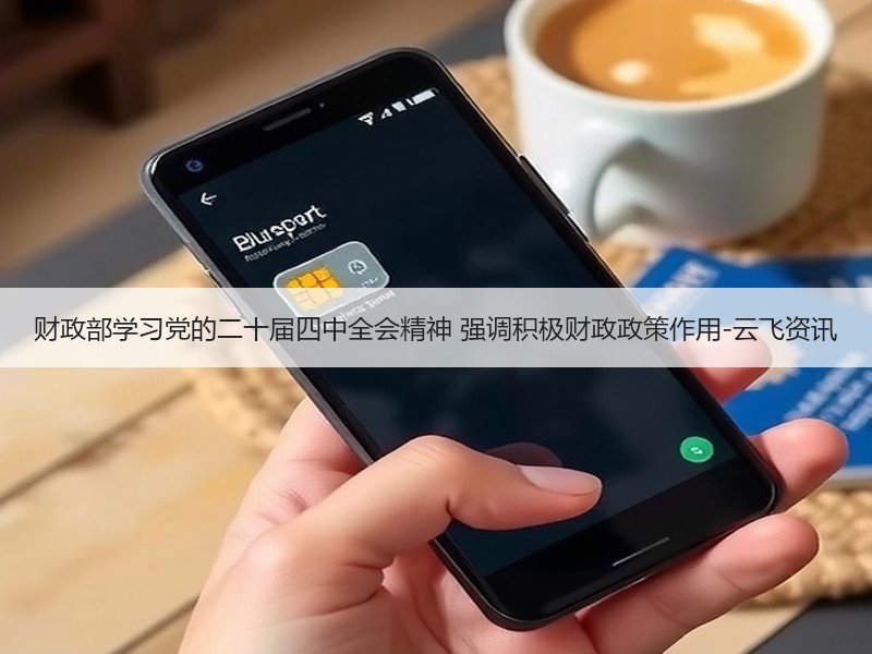 财政部学习党的二十届四中全会精神 强调积极财政政策作用-云飞资讯