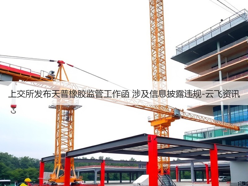 上交所发布天普橡胶监管工作函 涉及信息披露违规-云飞资讯